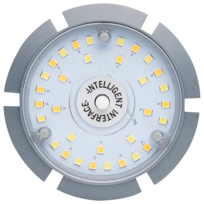 Satco S23163 Light Bulb, White