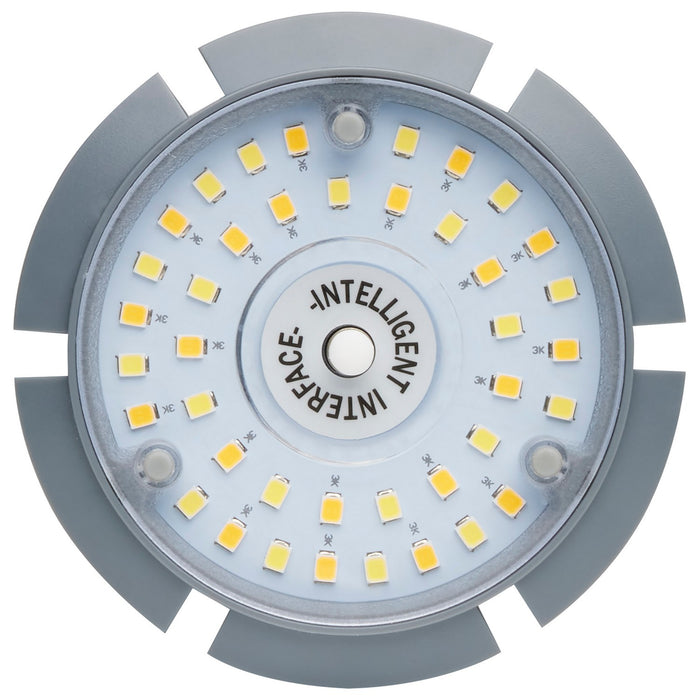 Satco S23166 Light Bulb, White