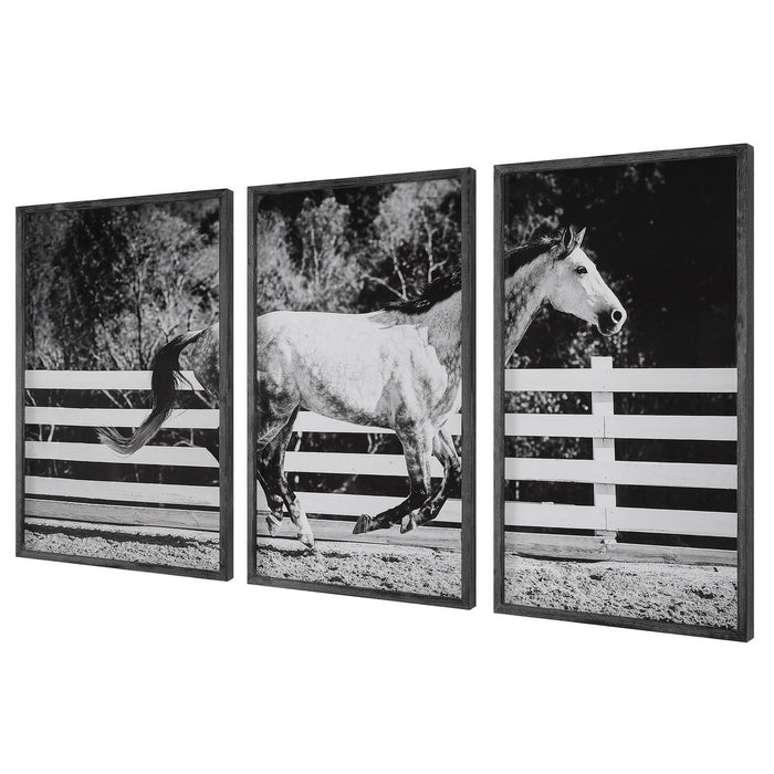 Uttermost 32279 Wall Art, Pine Wood