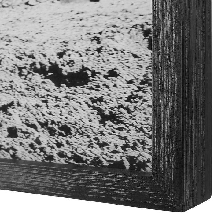 Uttermost 32279 Wall Art, Pine Wood