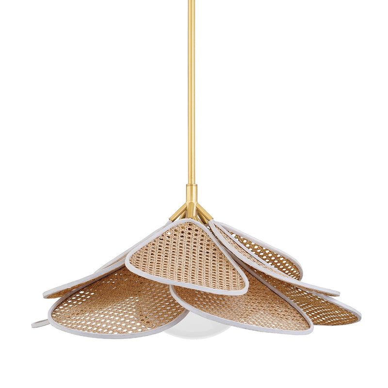 Hudson Valley 3128-AGB One Light Pendant, Aged Brass
