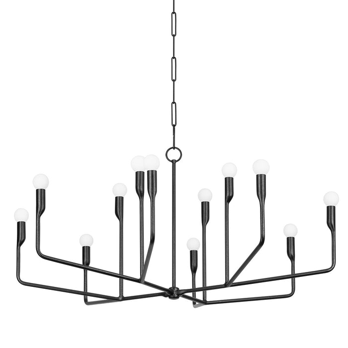 Troy Lighting F9242-FOR 12 Light Chandelier, Forged Iron