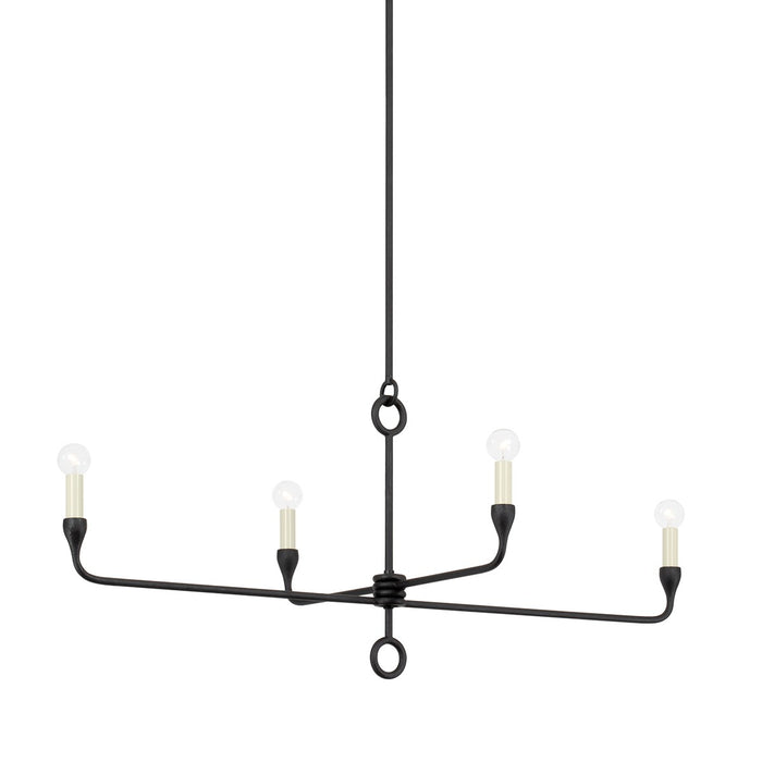Troy Lighting F9544-BI Four Light Island Pendant, Black Iron