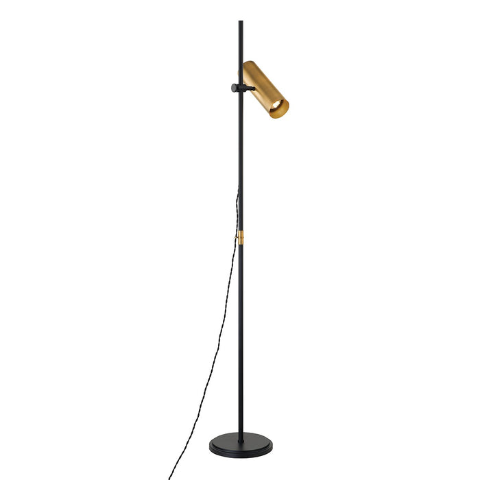 Troy Lighting PFL9665-PBR/SBK One Light Floor Lamp, Patina Brass