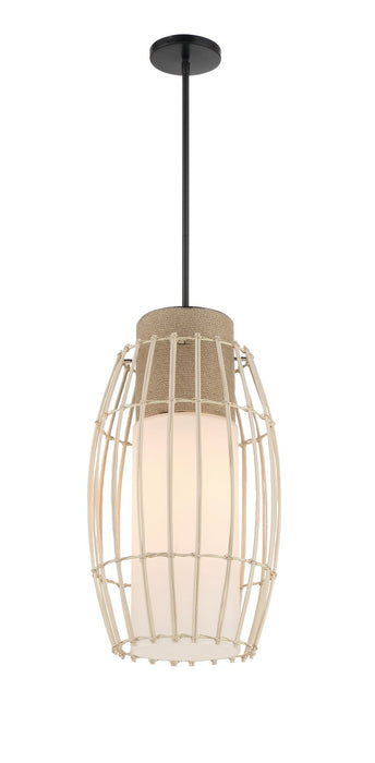 Minka-Lavery 1104-66A One Light Pendant, Coal