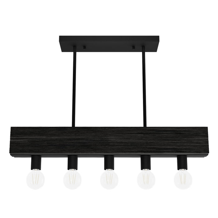 Hunter 13055 Five Light Linear Chandelier, Natural Black Iron