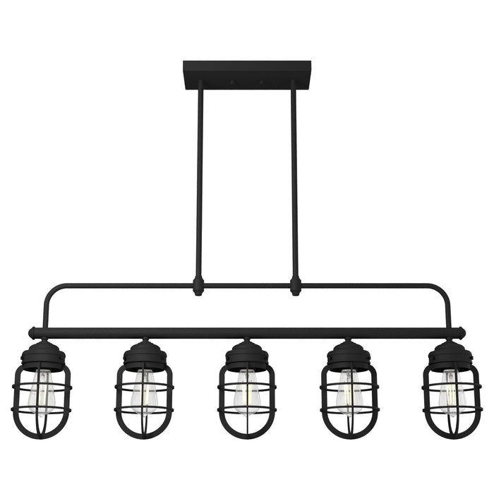 Hunter 19667 Five Light Linear Chandelier, Natural Black Iron