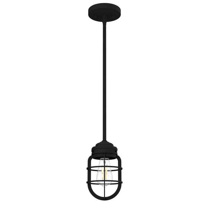 Hunter 19694 One Light Mini Pendant, Natural Black Iron