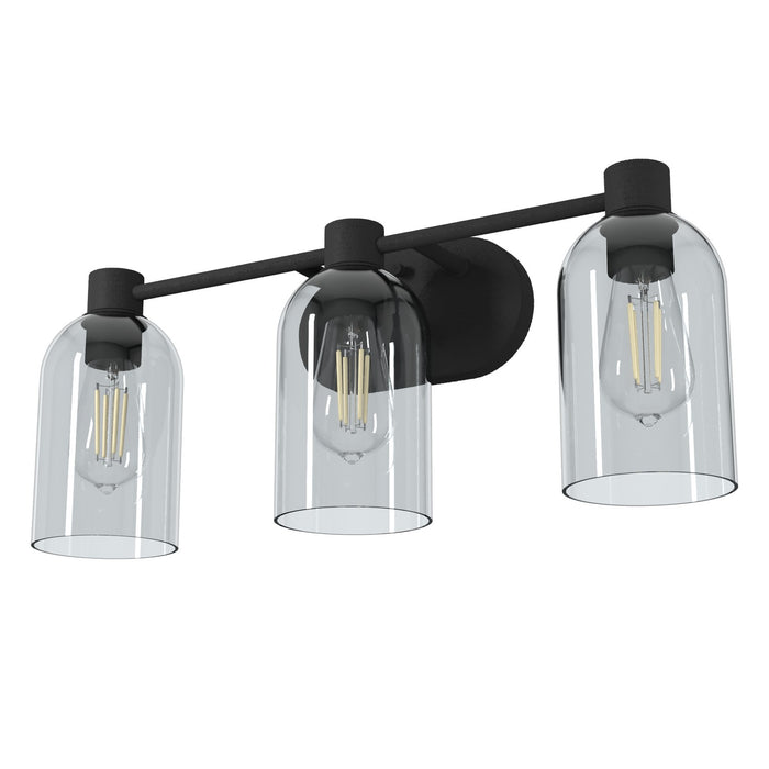 Hunter 19709 Three Light Bathroom Vanity, Natural Black Iron