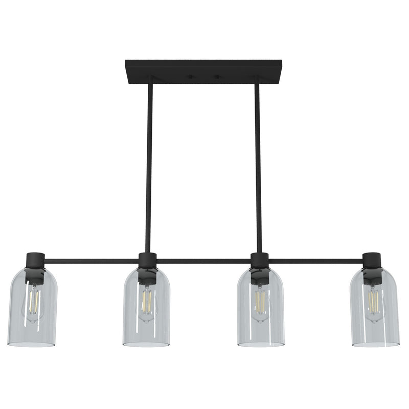 Hunter 19715 Four Light Chandelier, Natural Black Iron