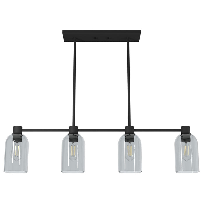 Hunter 19715 Four Light Chandelier, Natural Black Iron