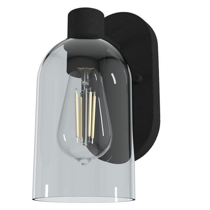 Hunter 19776 One Light Wall Sconce, Natural Black Iron