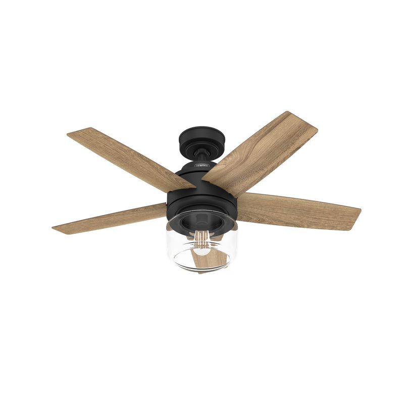 Hunter 52289 44" Ceiling Fan, Matte Black