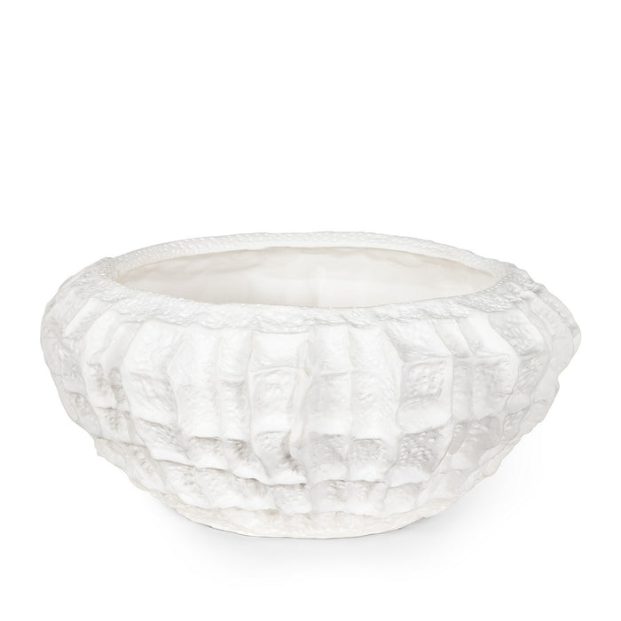 Regina Andrew 20-1470WT Bowl, White