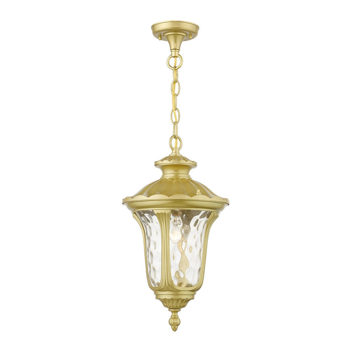 Livex Lighting 7854-33 One Light Outdoor Pendant, Soft Gold