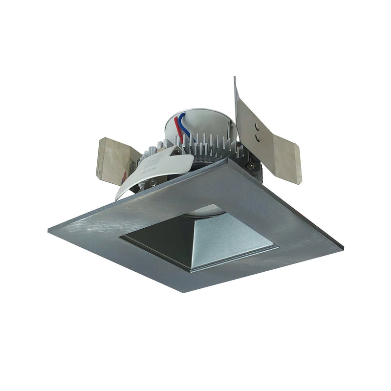 Nora Lighting NLCBC2-55627NN/10 LED Retrofit, Natural Metal