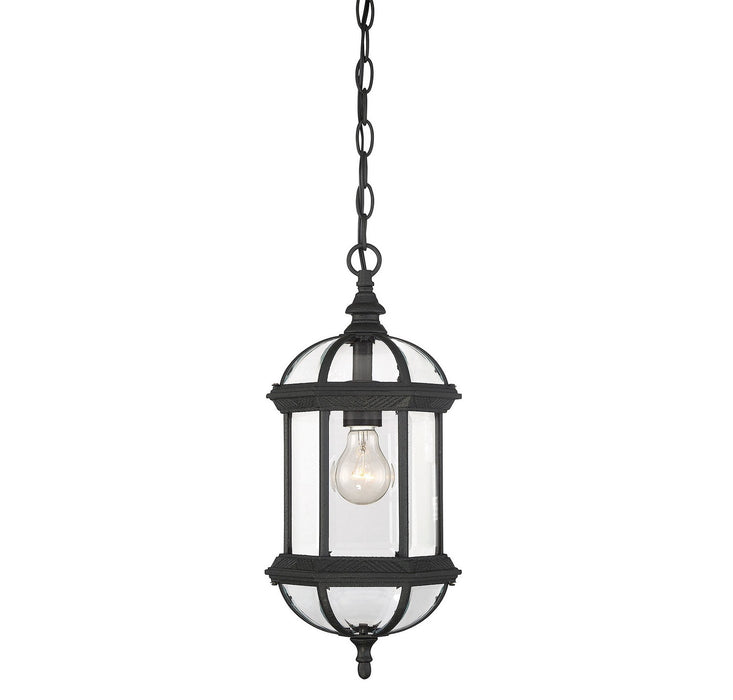 Savoy House 5-0631-BK One Light Hanging Lantern, Textured Black