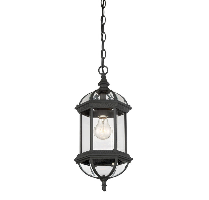 Savoy House 5-0631-BK One Light Hanging Lantern, Textured Black