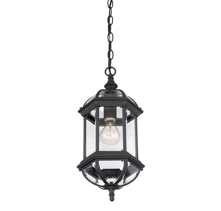 Savoy House 5-0631-BK One Light Hanging Lantern, Textured Black