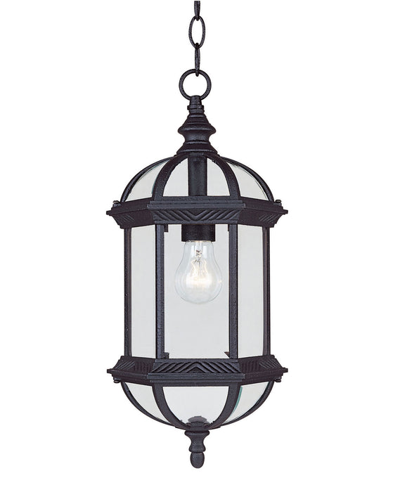 Savoy House 5-0631-BK One Light Hanging Lantern, Textured Black