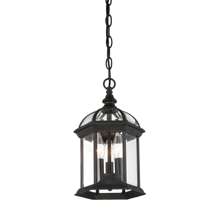 Savoy House 5-0635-BK Three Light Hanging Lantern, Textured Black