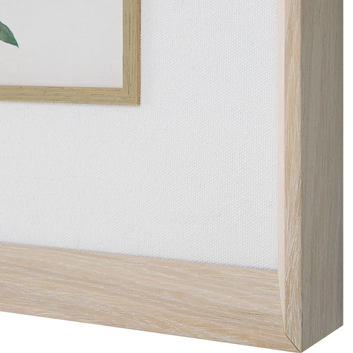 Uttermost 32284 Framed Prints Set/6, Pine Wood