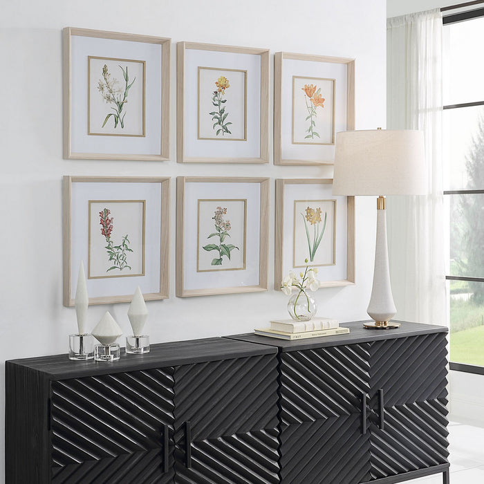 Uttermost 32284 Framed Prints Set/6, Pine Wood