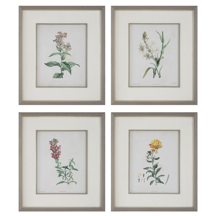 Uttermost 32285 Framed Prints Set/4, Gray