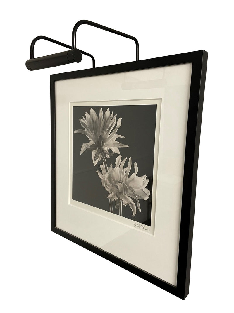 House of Troy SL6-7 One Light Picture Light, Black