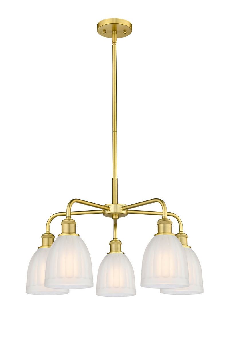 Innovations 516-5CR-SG-G441 Five Light Chandelier, Satin Gold