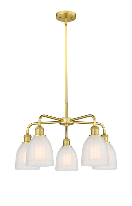 Innovations 516-5CR-SG-G441 Five Light Chandelier, Satin Gold