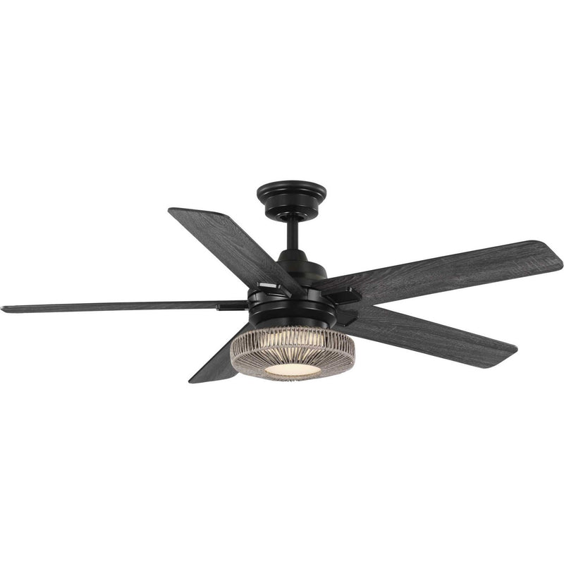 Progress Lighting P250101-31M-30 52" Ceiling Fan, Matte Black