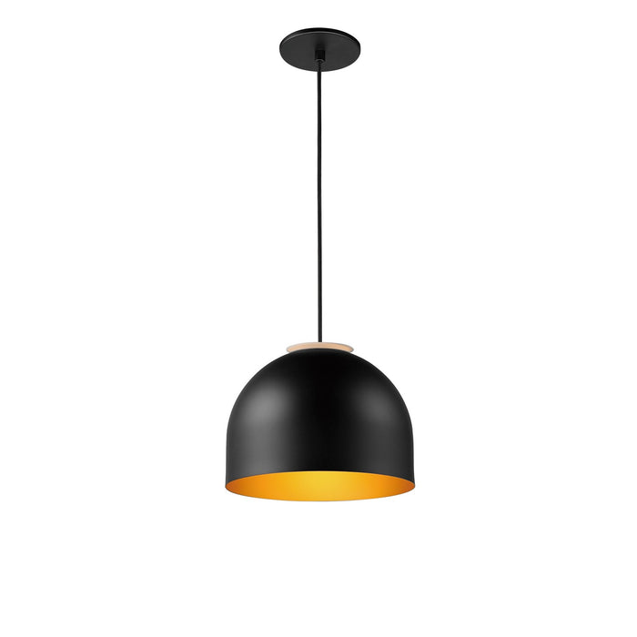ET2 E34602-54BKGLD LED Pendant, Black / Gold