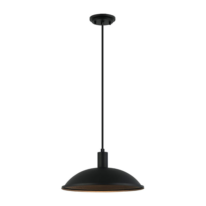 Matteo Lighting C81901MB One Light Pendant