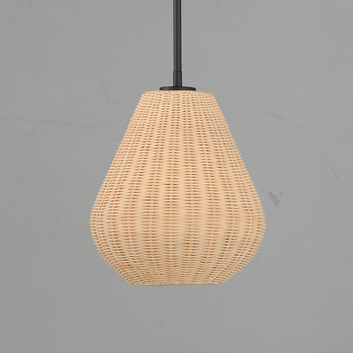Maxim 12602NABK LED Pendant, Black