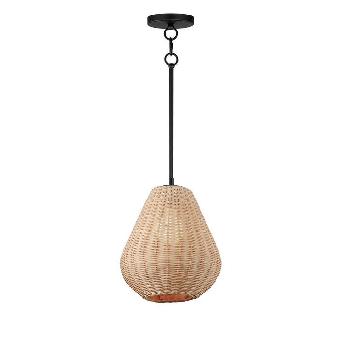 Maxim 12602NABK LED Pendant, Black