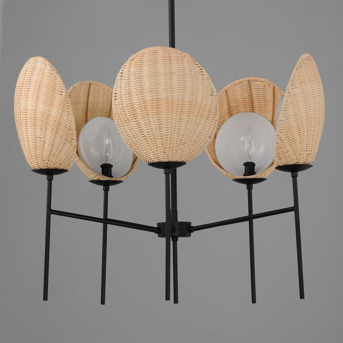 Maxim 12605NABK Five Light Chandelier, Black
