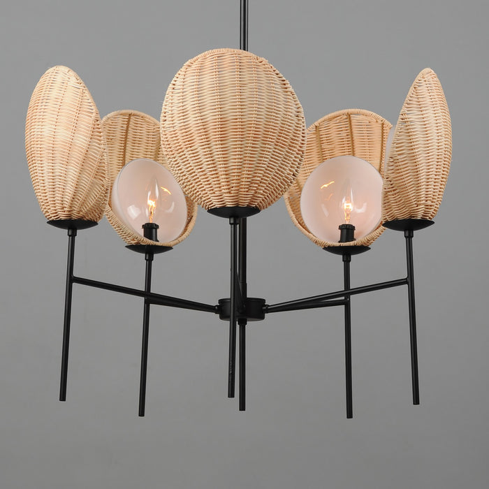 Maxim 12605NABK Five Light Chandelier, Black