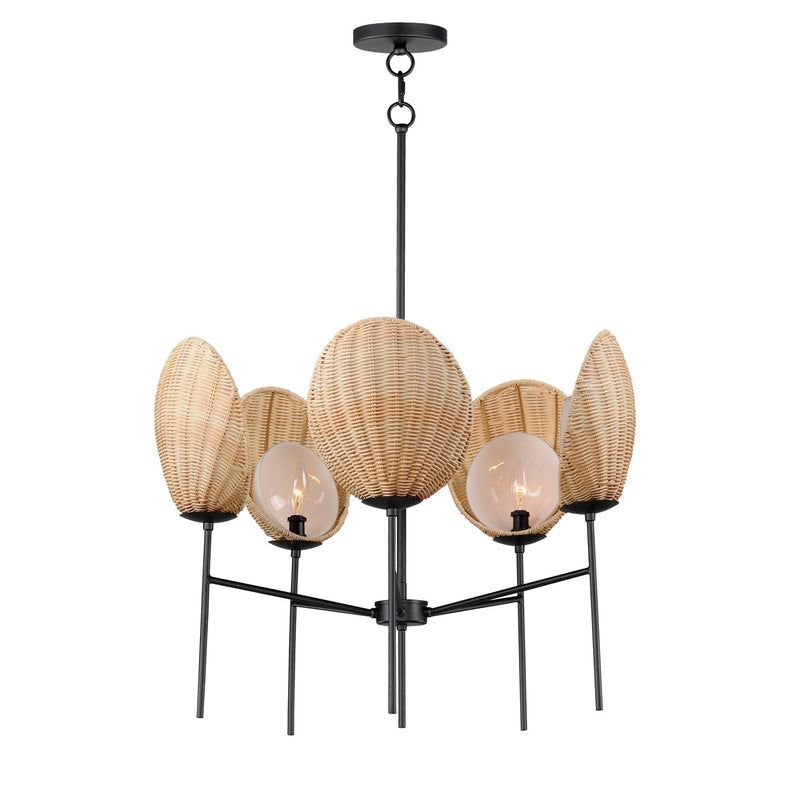 Maxim 12605NABK Five Light Chandelier, Black
