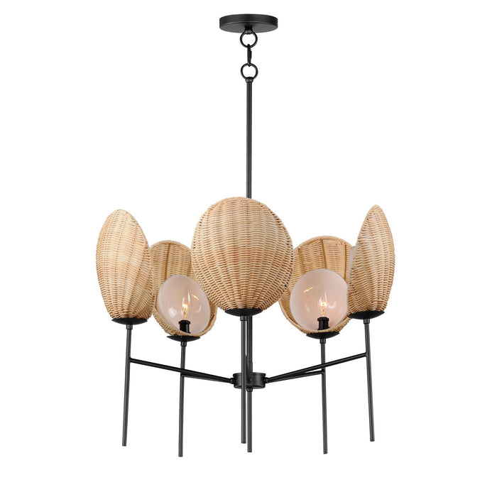 Maxim 12605NABK Five Light Chandelier, Black