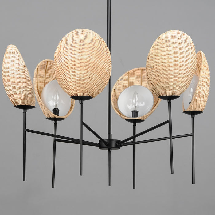 Maxim 12606NABK Six Light Chandelier, Black