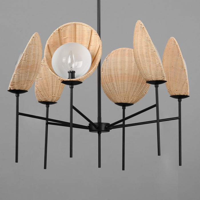 Maxim 12606NABK Six Light Chandelier, Black