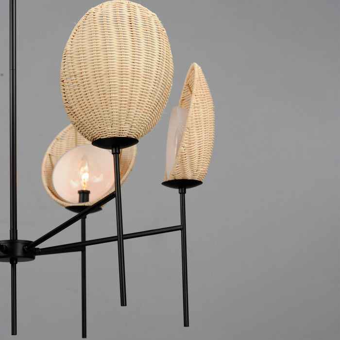 Maxim 12606NABK Six Light Chandelier, Black