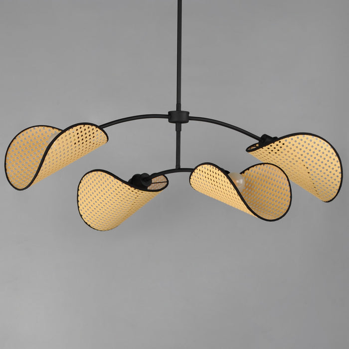 Maxim 12634NABK Four Light Chandelier, Black