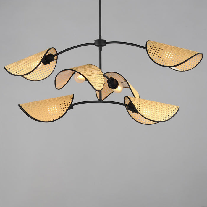 Maxim 12636NABK Six Light Chandelier, Black