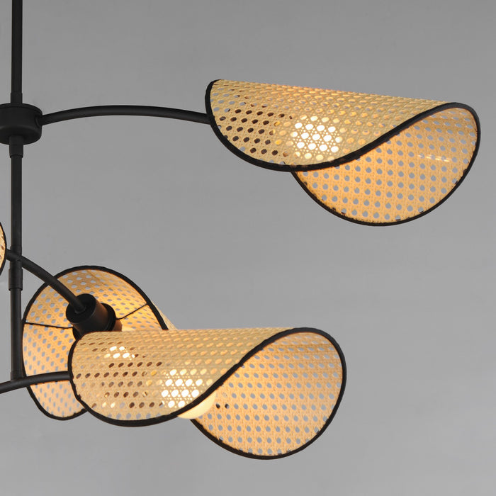 Maxim 12636NABK Six Light Chandelier, Black