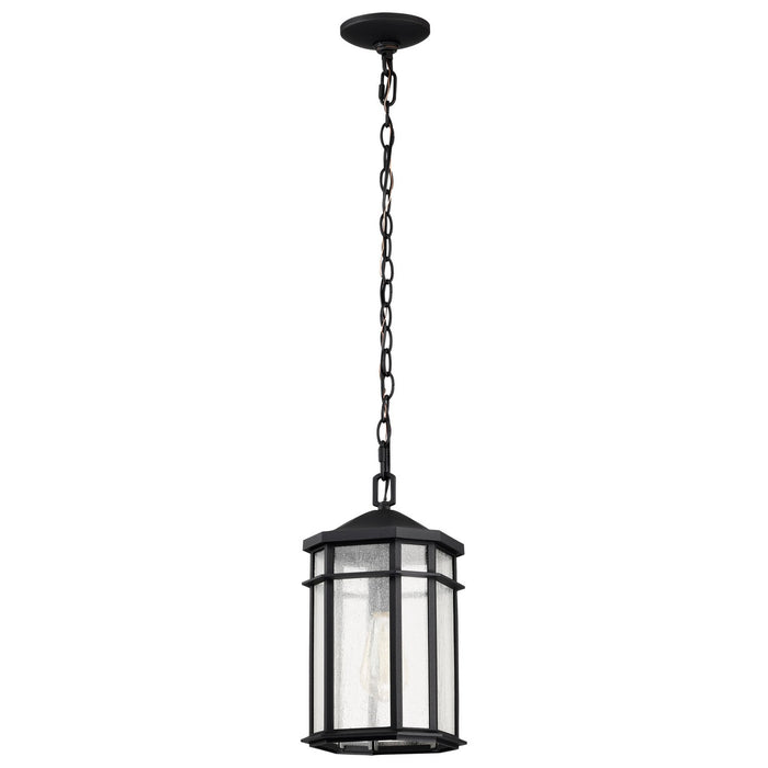 Nuvo Lighting 60-5759 One Light Outdoor Hanging Lantern, Matte Black