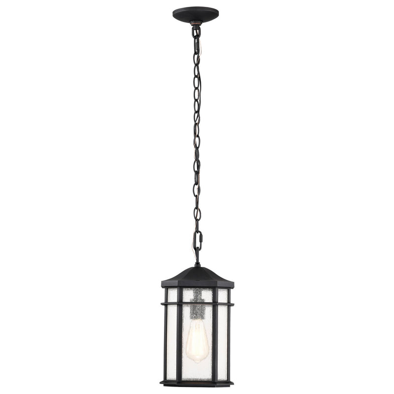 Nuvo Lighting 60-5759 One Light Outdoor Hanging Lantern, Matte Black