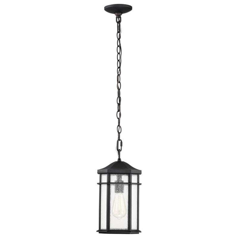 Nuvo Lighting 60-5759 One Light Outdoor Hanging Lantern, Matte Black
