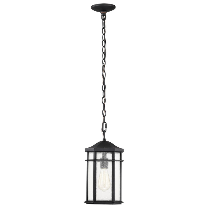 Nuvo Lighting 60-5759 One Light Outdoor Hanging Lantern, Matte Black